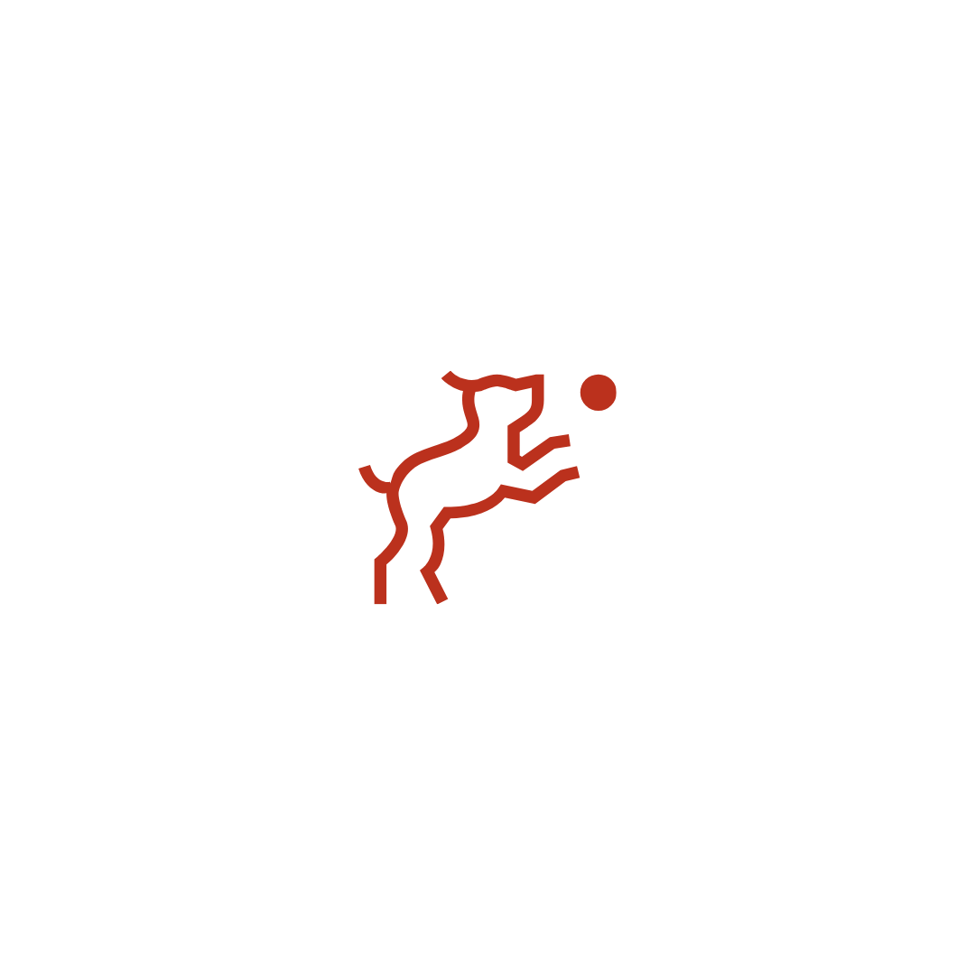 Mission Vision Icon
