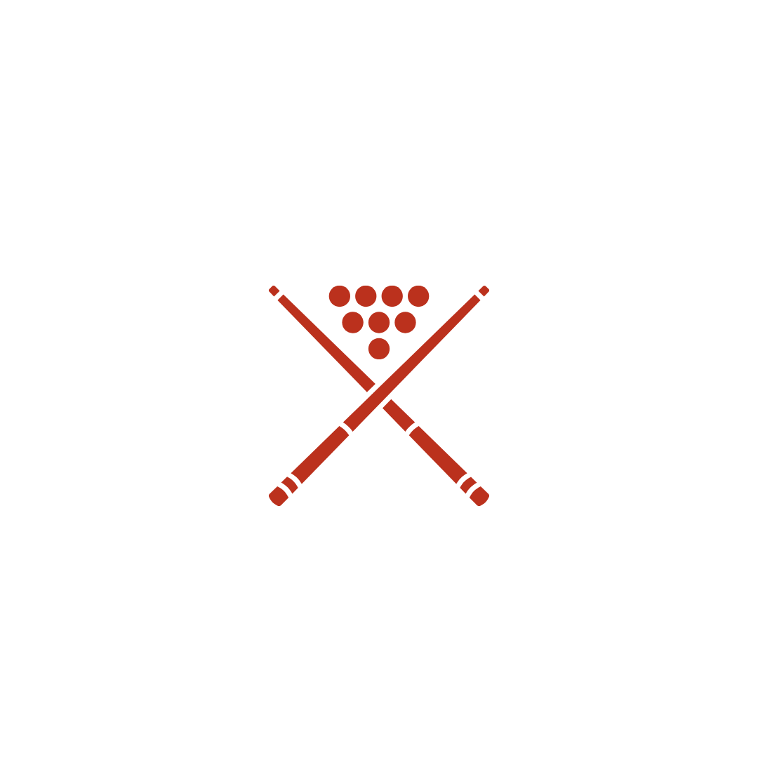 Mission Vision Icon